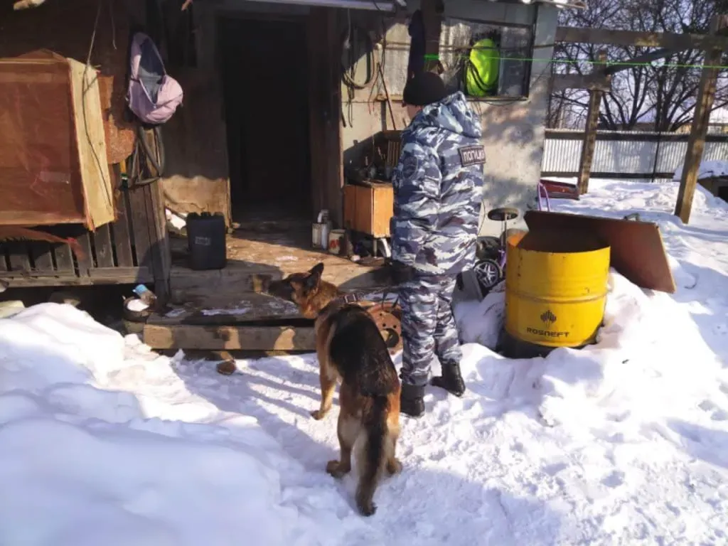 Семь шприцев с наркотиками нашли на летней кухне жителя села ЕАО