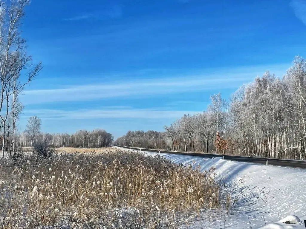 Холодную, но безветренную среду обещают синоптики в ЕАО