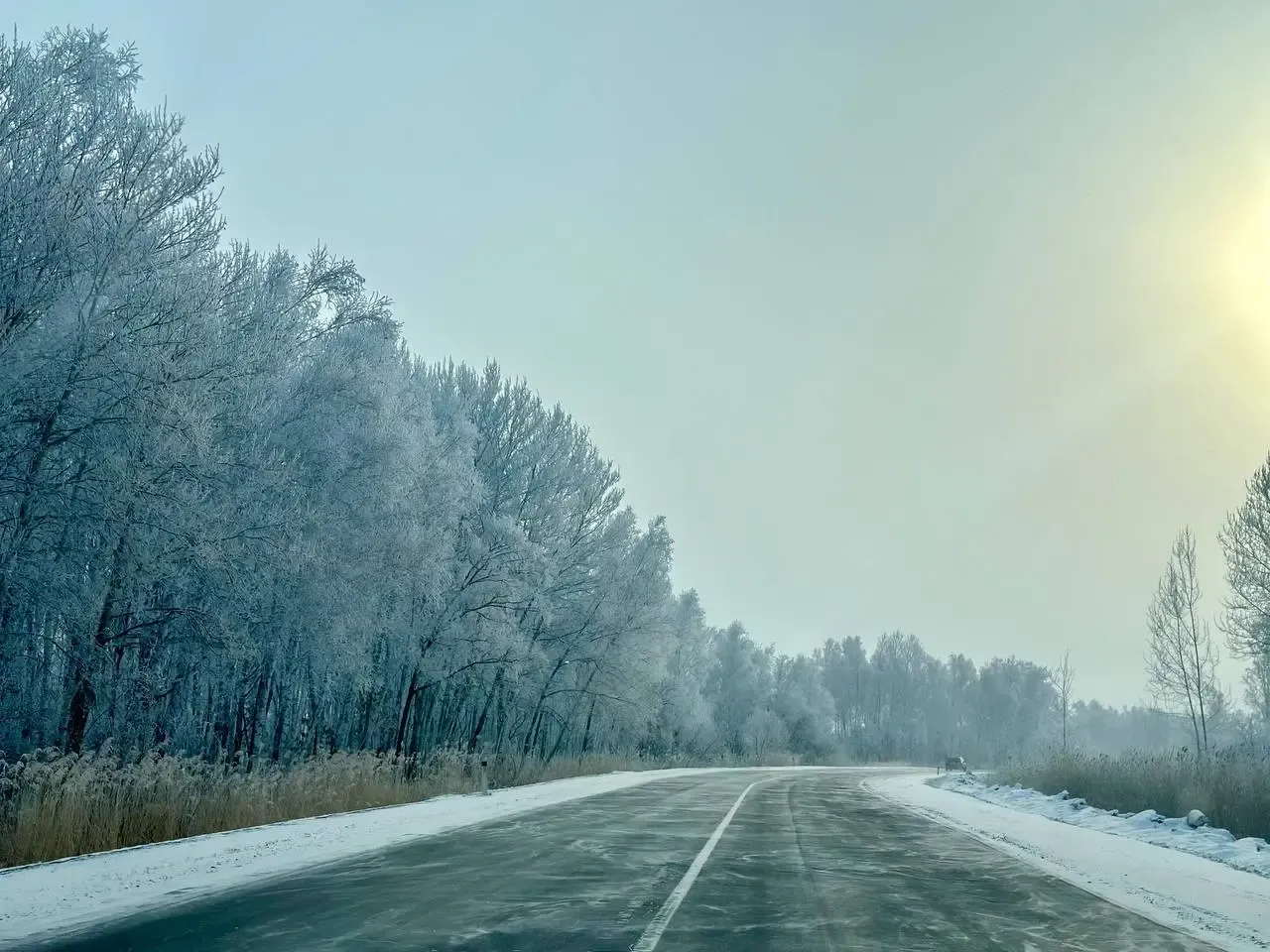 Ясное небо и неслабый ветер ожидается в среду в ЕАО