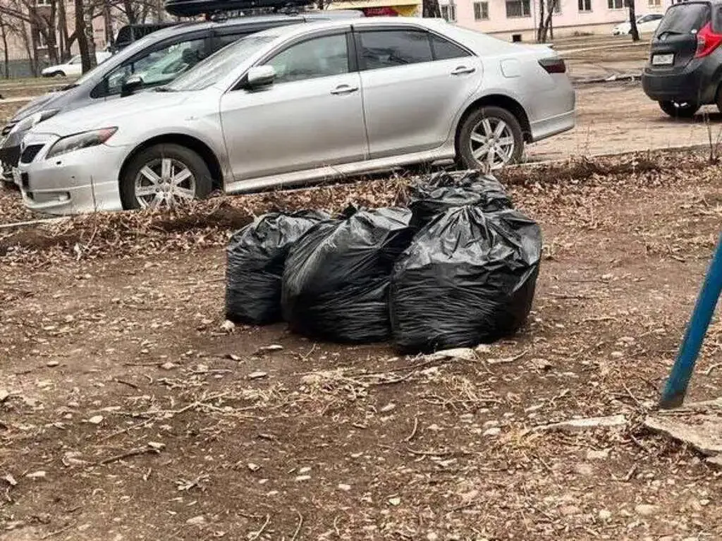 Первый еженедельный апрельский субботник прошёл в ЕАО