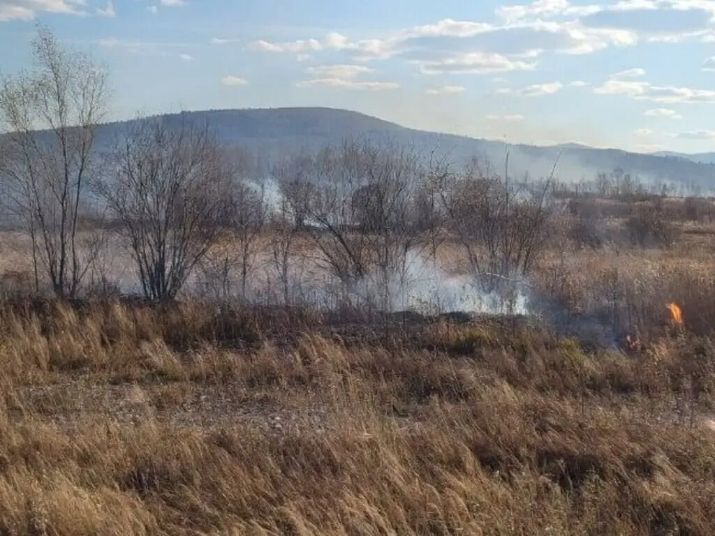 ТОП-5 главных мифов о травяных палах и почему они вредят почве