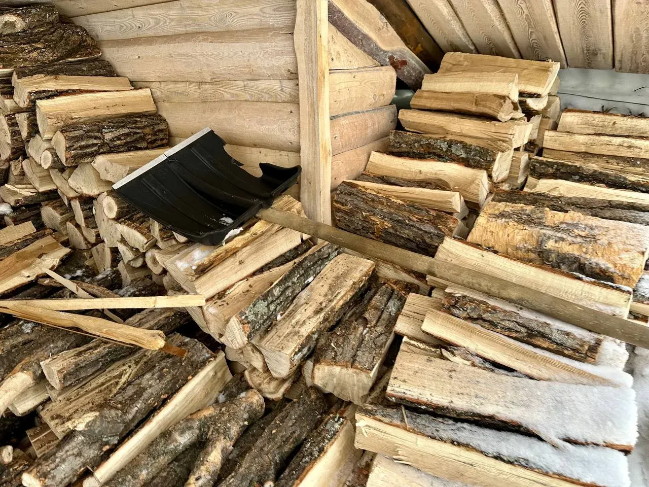 Пятеро «черных лесорубов» наломали дров на более миллиона рублей