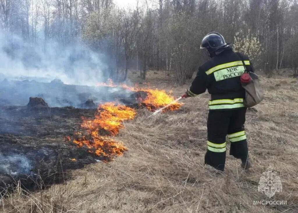 Природный пожар на площади более 6 тысяч гектар потушили в ЕАО