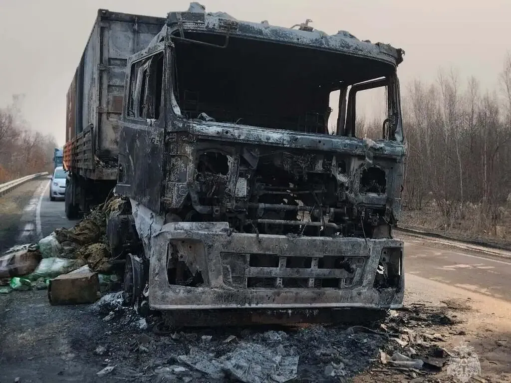 Вспыхнула на ходу фура на трассе в ЕАО