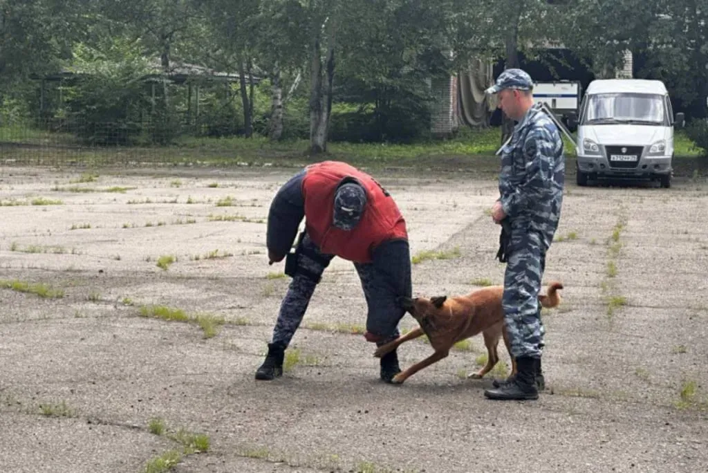 С работой кинологов познакомили полицейские ребят из ЕАО