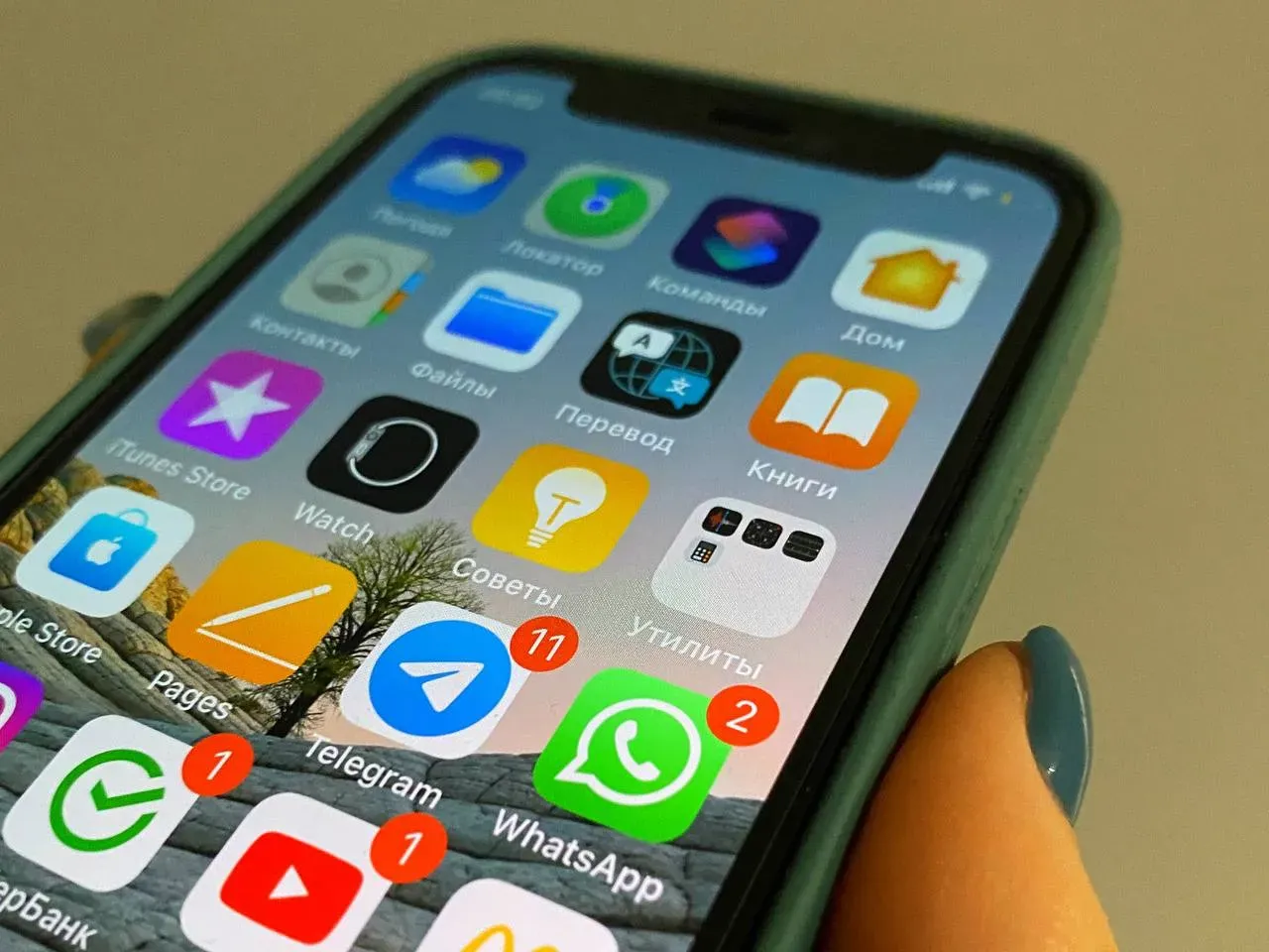 Блокировку WhatsApp в России не исключили в Госдуме