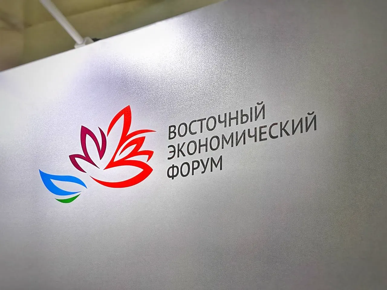 Около 100 мероприятий состоится в рамках деловой программы ВЭФ–2024