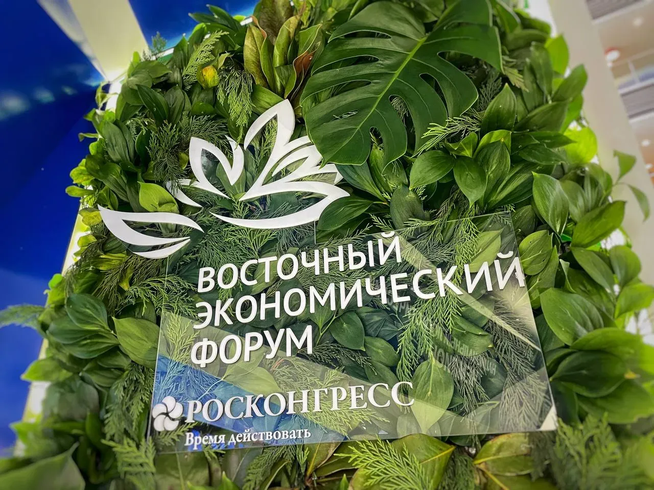 Опубликована архитектура деловой программы ВЭФ-2024