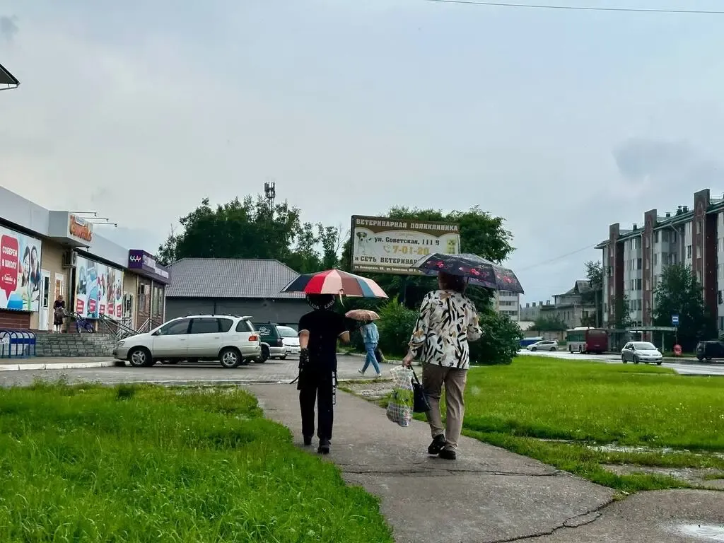 Грозу ночью и сильный дождь с утра обещают в ЕАО: Прогноз погоды на пятницу