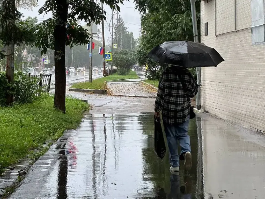 Сильный дождь, возможно с грозой: прогноз погоды в ЕАО на понедельник