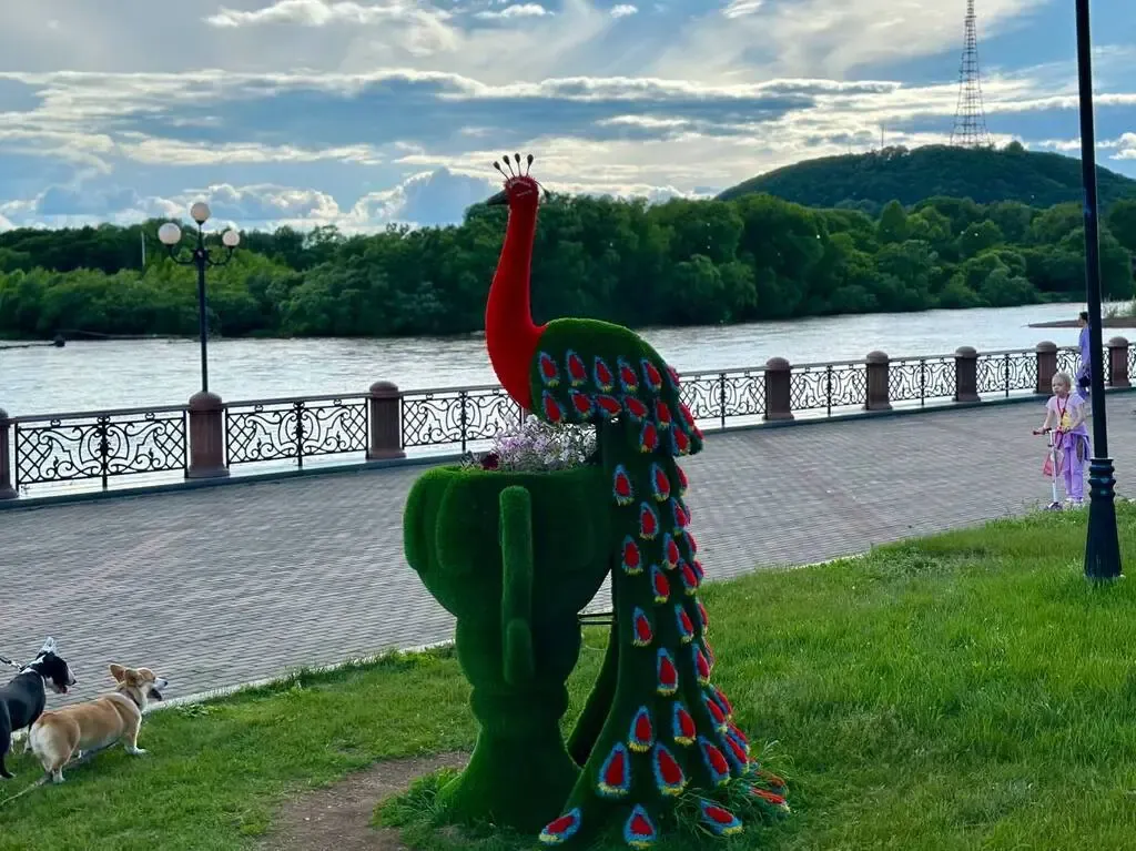 Пониженное давление по всей области прогнозируют синоптики в эту среду в ЕАО