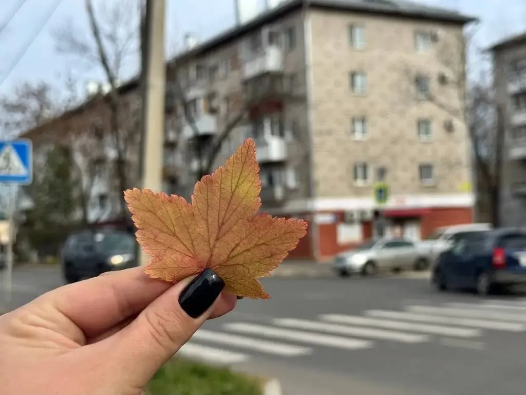 Местами туман и повышенное давление: прогноз погоды на четверг в ЕАО