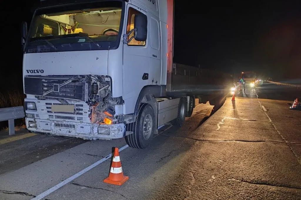 Насмерть сбила пешехода фура на трассе в ЕАО