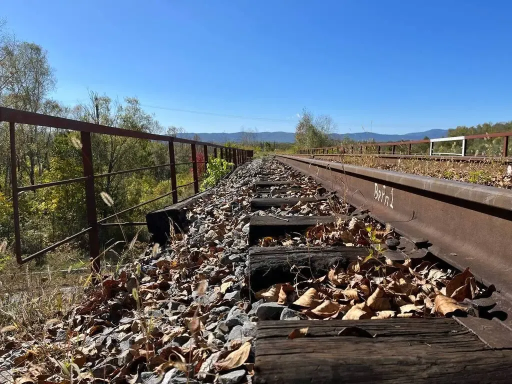 Железнодорожная банда украла более 140 тонн рельсов после ремонта в ЕАО