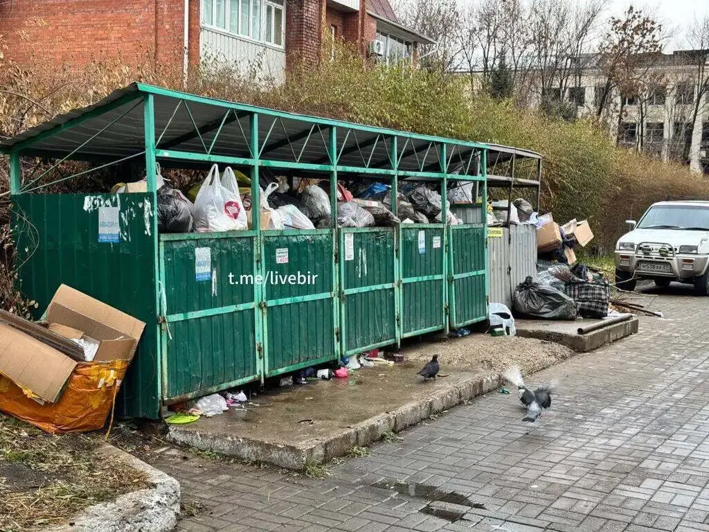 Причины мусорного коллапса в Биробиджане объяснил регоператор