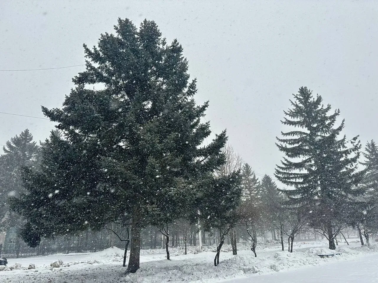 По-настоящему зимняя погода ждет ЕАО в понедельник