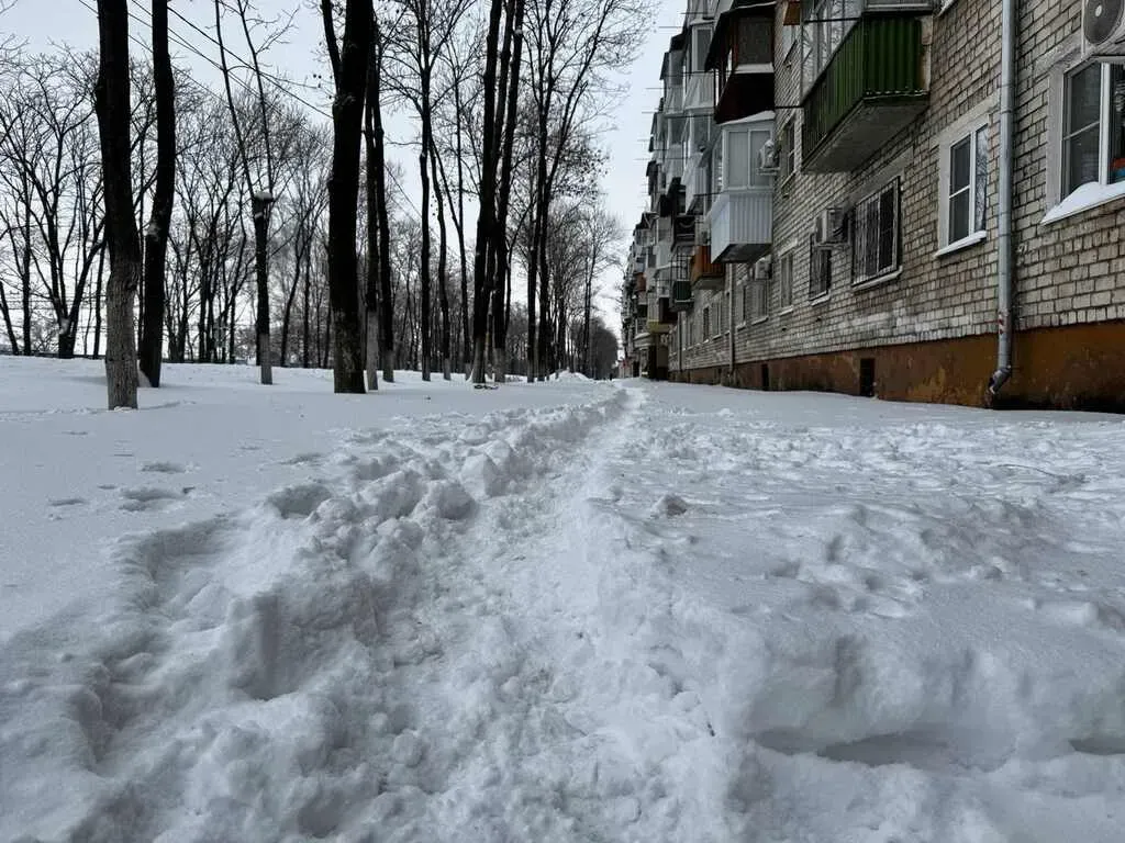 Больше двухмесячной нормы осадков выпало за сутки в ЕАО