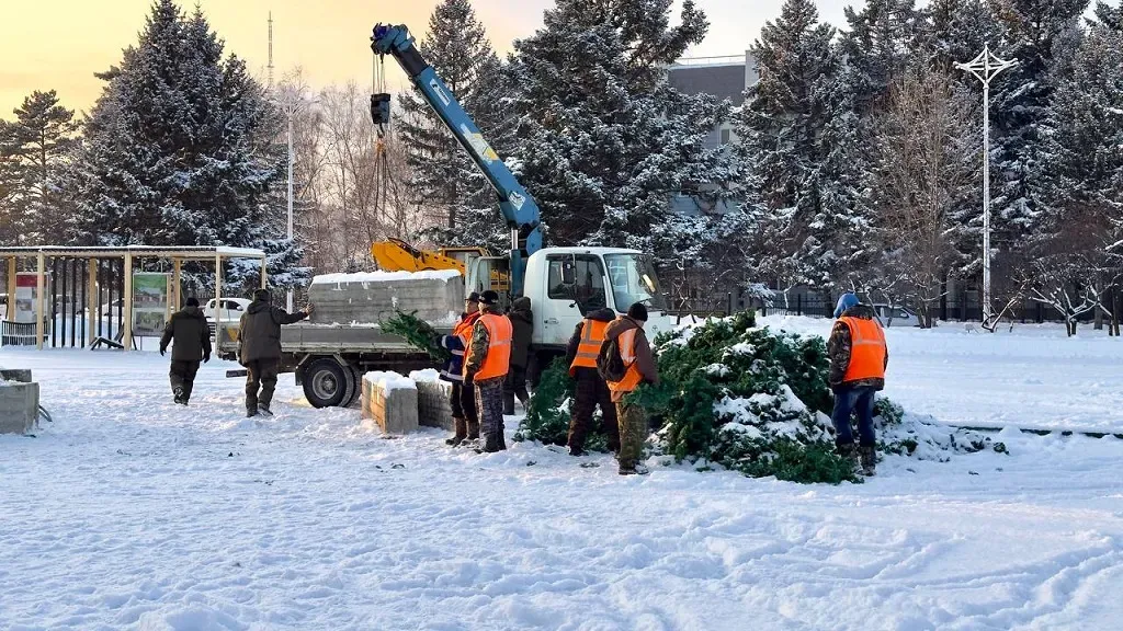 К монтажу новогодней ели приступили в Биробиджане