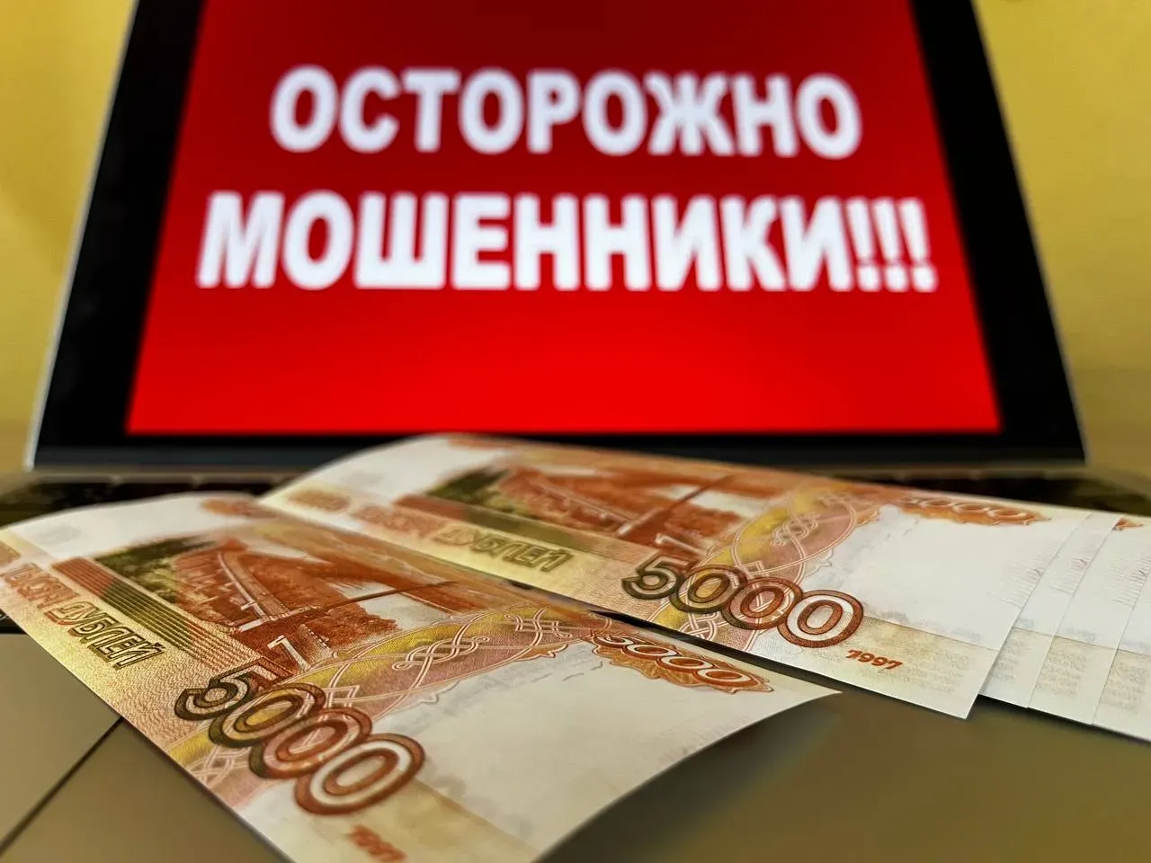 В ЕАО пенсионерка решила стать брокером, взяла кредит и «инвестировала» в мошенников