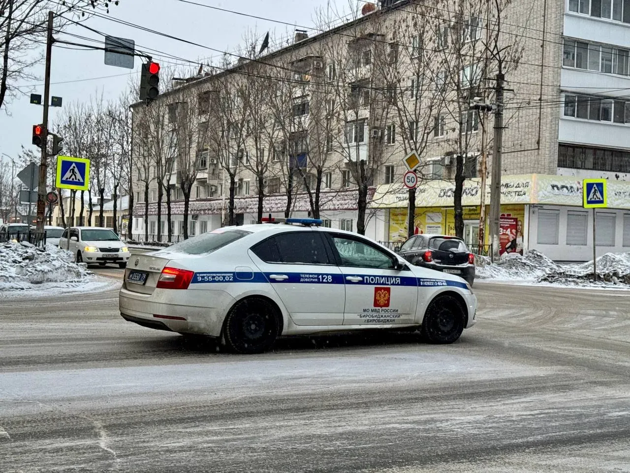 В Биробиджане депортируют мигранта после проезда на «красный»