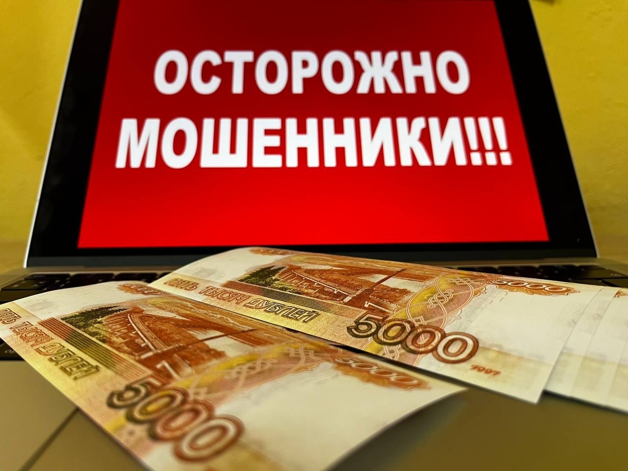 Мать решила заработать на бирже и повесила на мужа и ребенка кредитов на 3 млн рублей в ЕАО