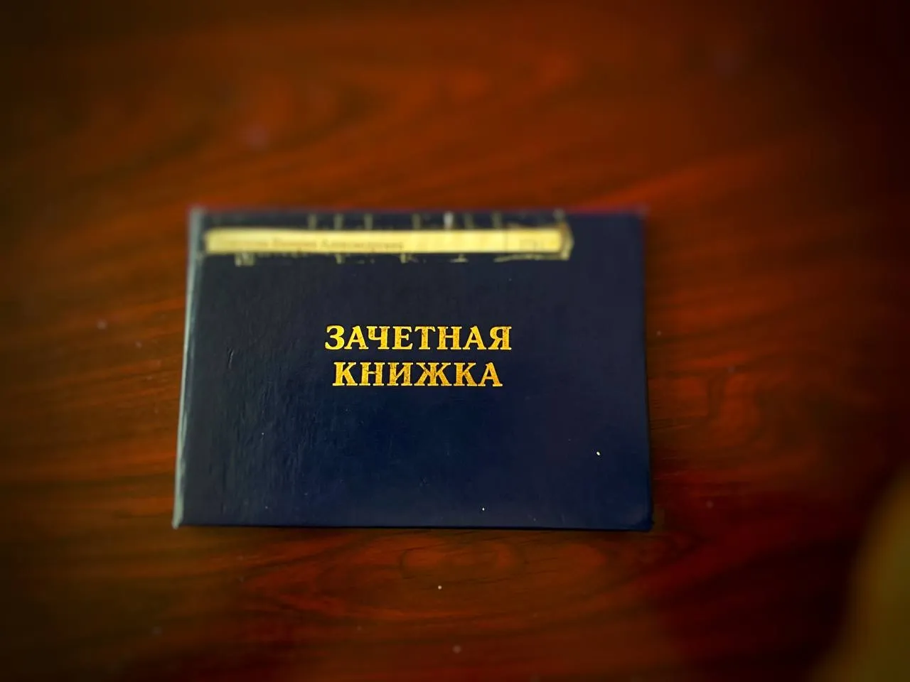 Студентка обратилась в полицию, когда ее «обули» при покупке курсовой мошенники в ЕАО