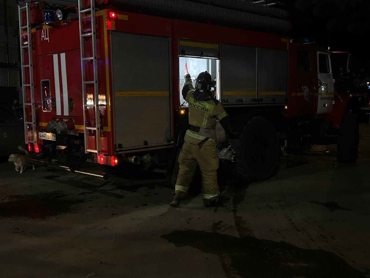 Устроил душегубку буренкам в закрытом пространстве житель ЕАО