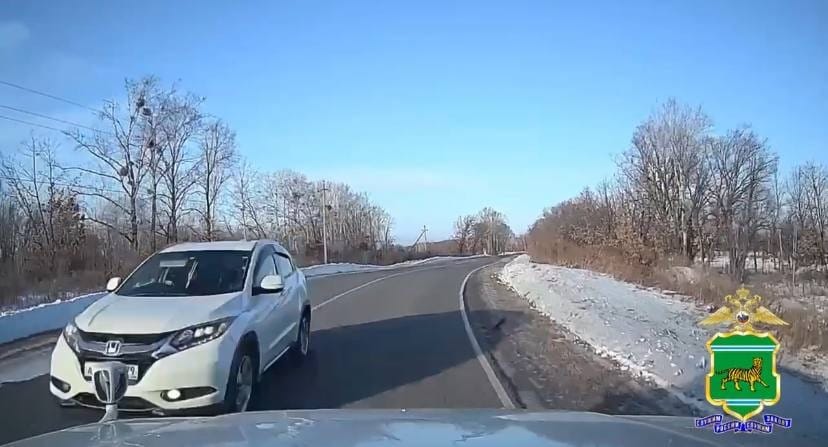 Едва не протаранила авто с ребенком, вылетевшая на встречку автоледи в ЕАО