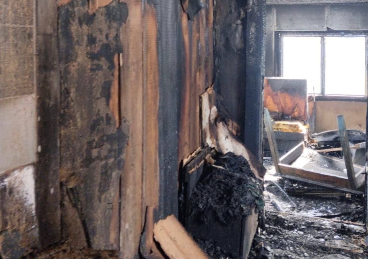 Женщина осталась без кошки и крыши над головой из-за пожара в ЕАО