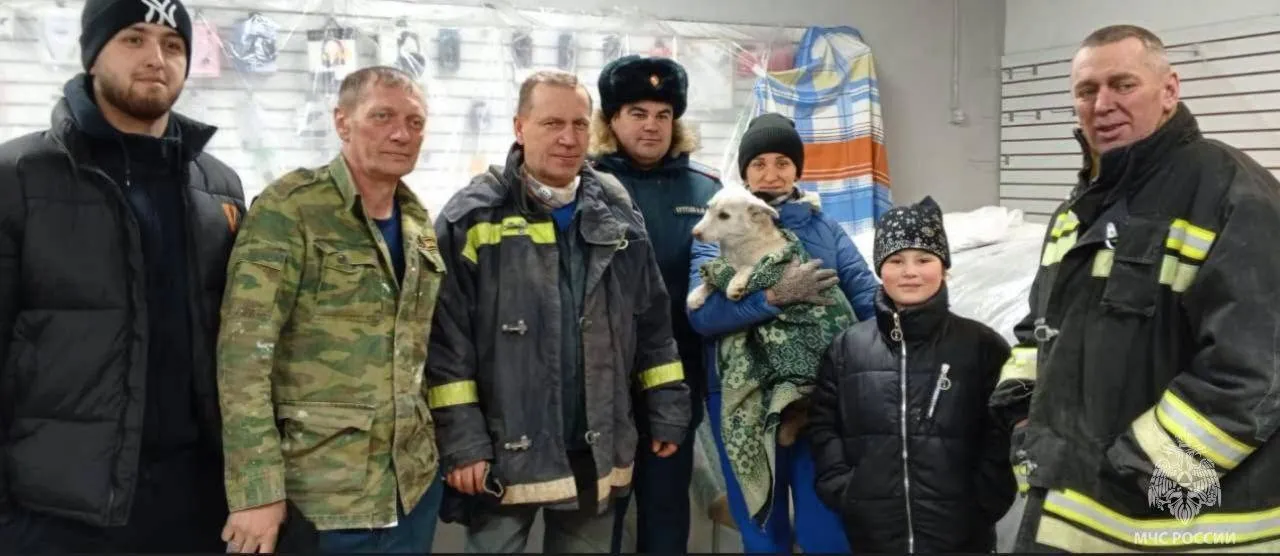 Двух дворняг, оказавшихся в плену, спасли спасатели в ЕАО