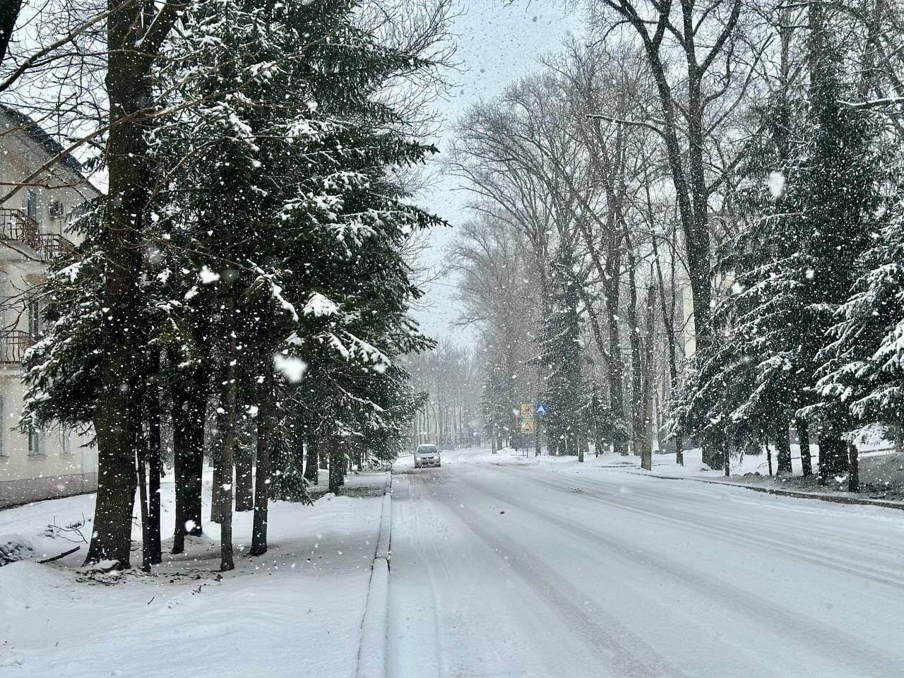 Небольшой снег и высокое давление: погода на среду в ЕАО