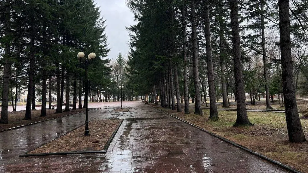 Переменная облачность, небольшой дождь: погода на 24 апреля в ЕАО