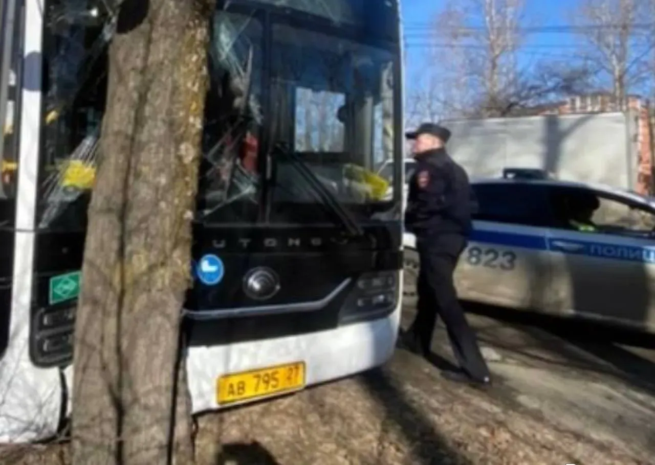 Водитель маршрутки потерял сознание и автобус с пассажирами влетел в дерево в Хабаровске
