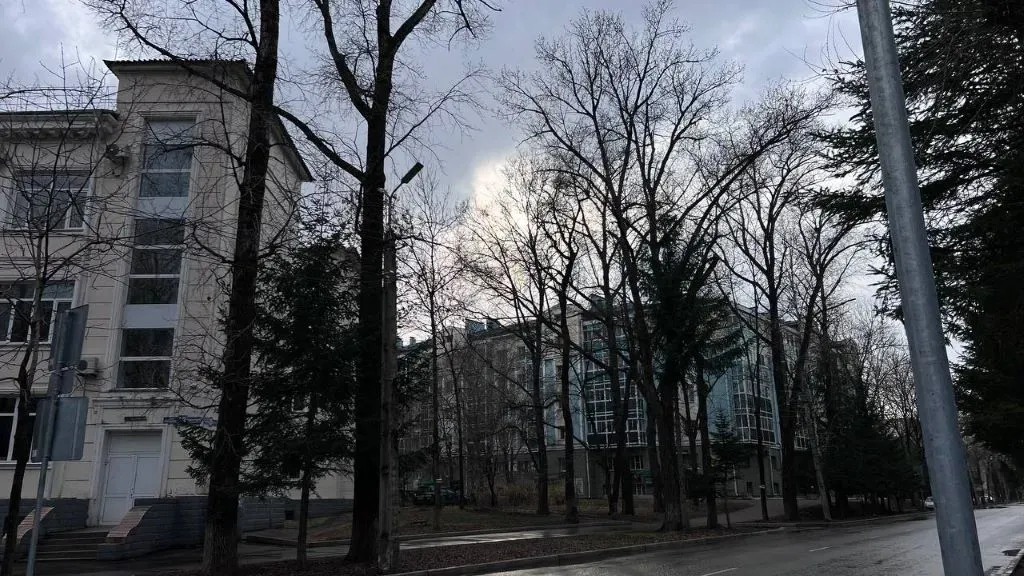 Ясно, до + 14°: погода на 29 апреля в ЕАО