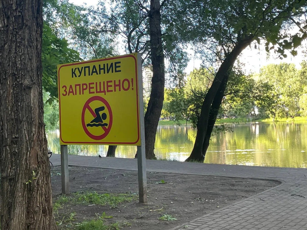 Житель Хабаровска утонул при купании в Амуре