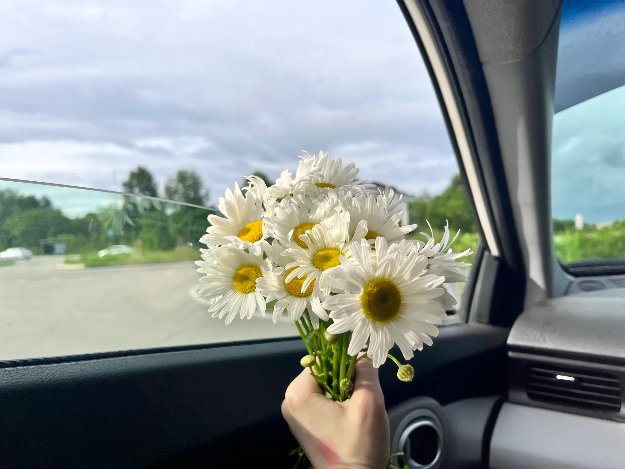 Ветренно, без осадков: погода на 31 июля в ЕАО