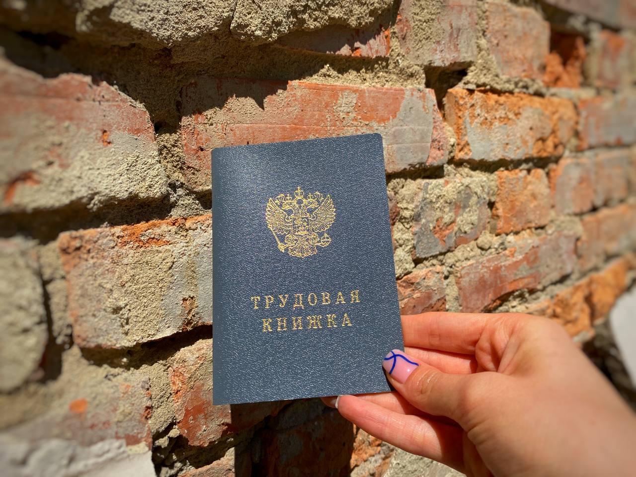 Трудоустроили работников без справки о судимости в учреждение дополнительного образования в Биробиджане