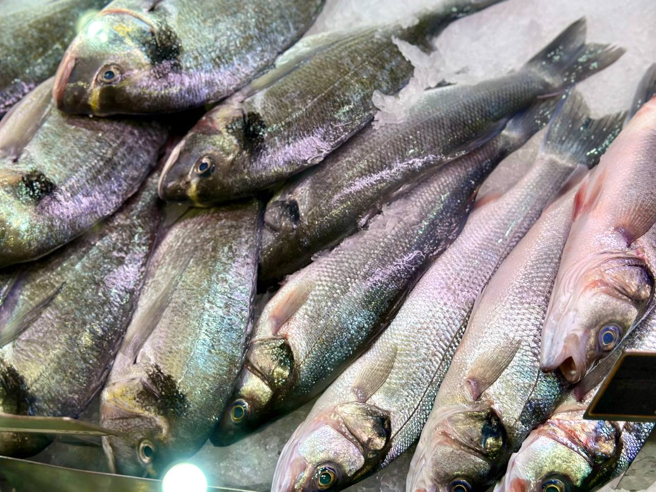 Экспорт рыбной продукции из ЕАО в Китай достиг 108 тонн в 2025 году