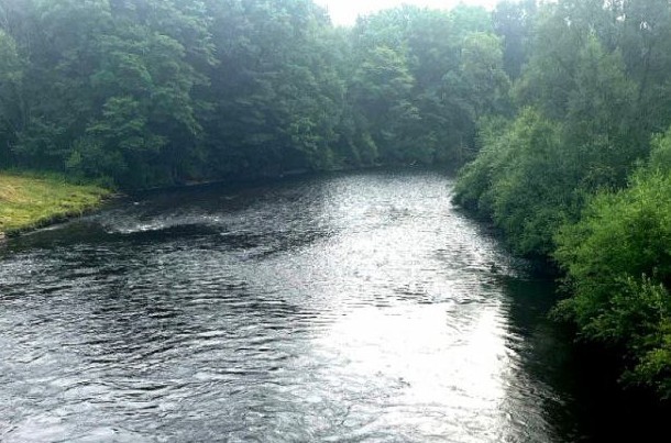 «Артель старателей Архара» получила разрешение на работу в водоохранной зоне реки Переходная в ЕАО