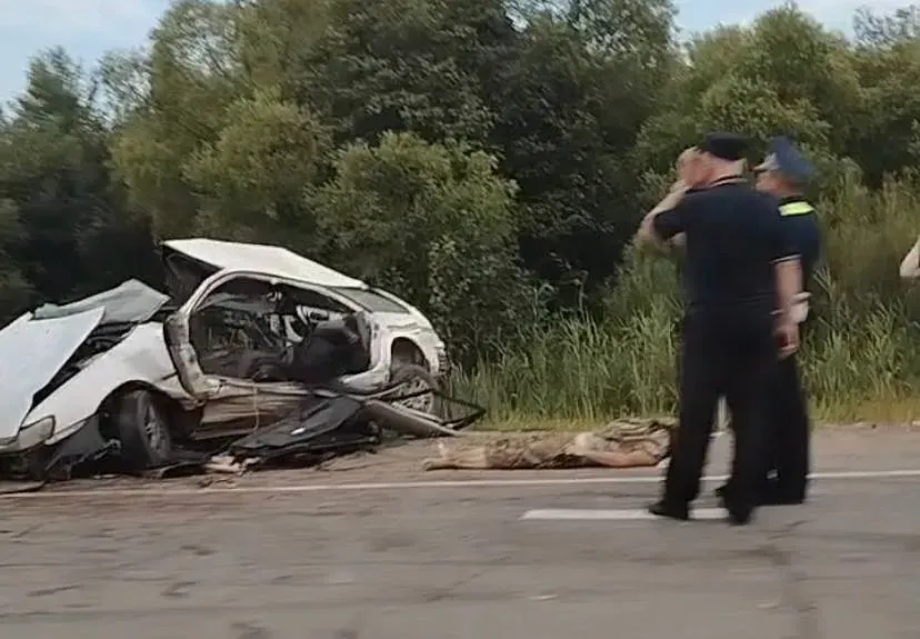 Двое погибли, трое пострадали: жуткое ДТП на трассе в ЕАО