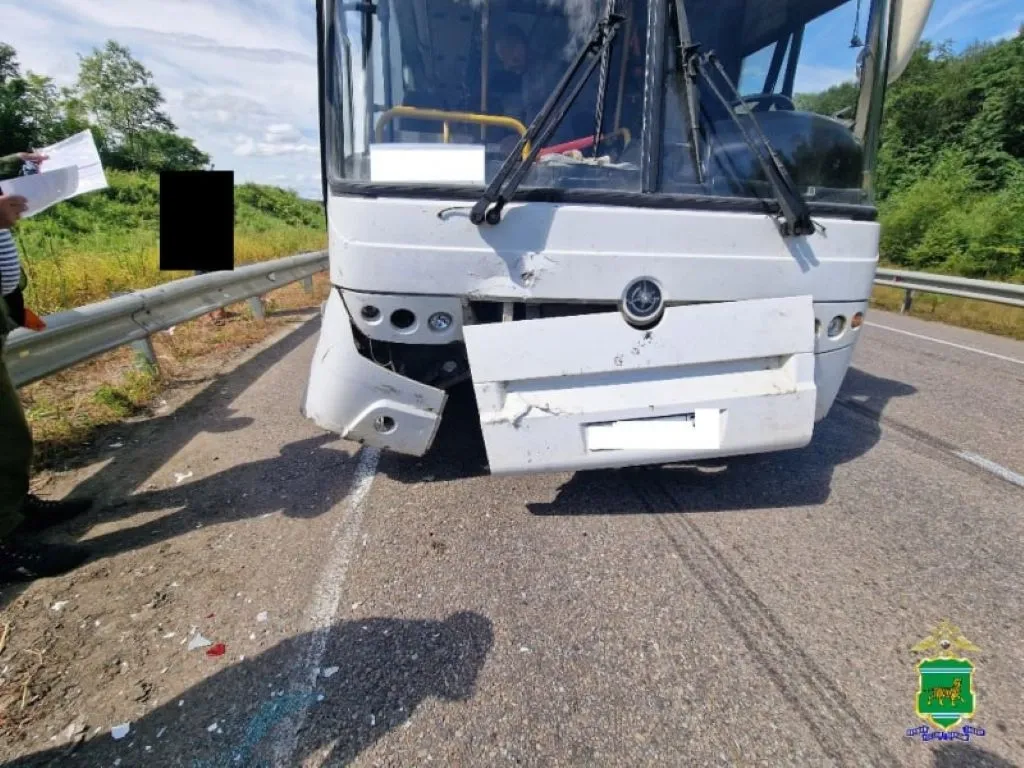 Автобус догнал легковушку: серия ДТП произошла в ЕАО в минувшие выходные