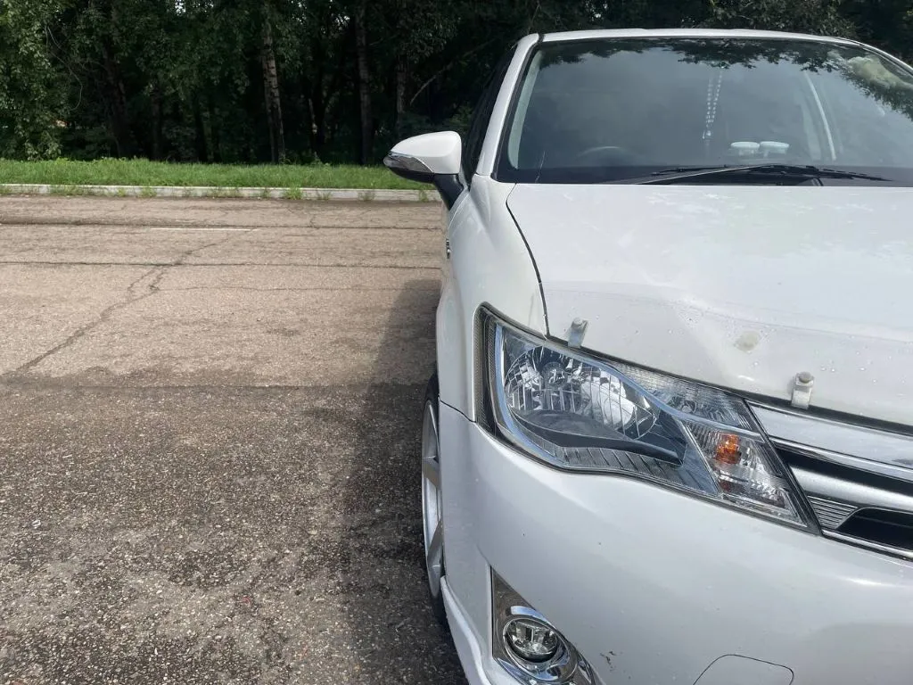 Автоледи под мухой пнула полицейского в Биробиджане