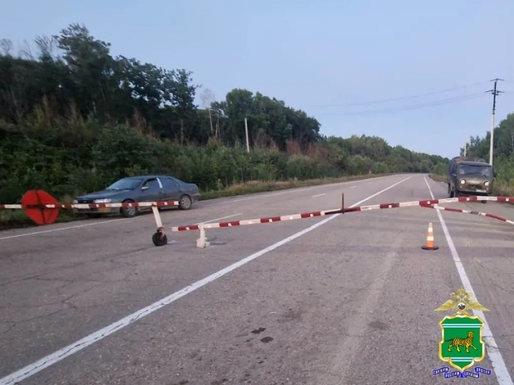 Пьяный водитель врезался в шлагбаум в ЕАО