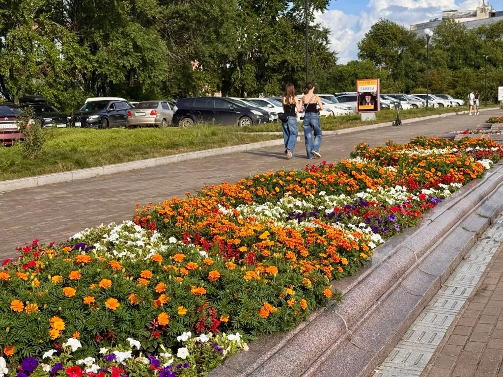 Погода на 4 сентября: до 30 градусов прогреется воздух в некоторых районах ЕАО