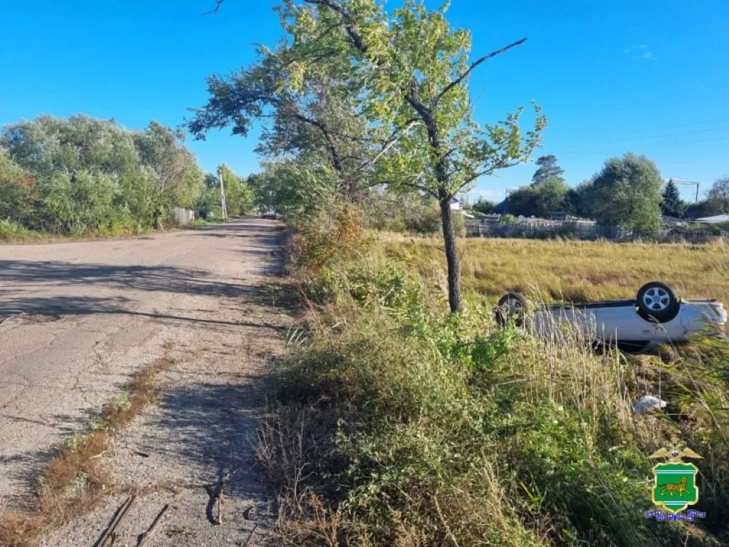 Водитель сбежал с места ДТП в Биробиджане