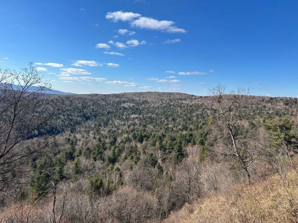 Погода на 30 октября: небольшой снег и сильный туман ожидаются местами в ЕАО