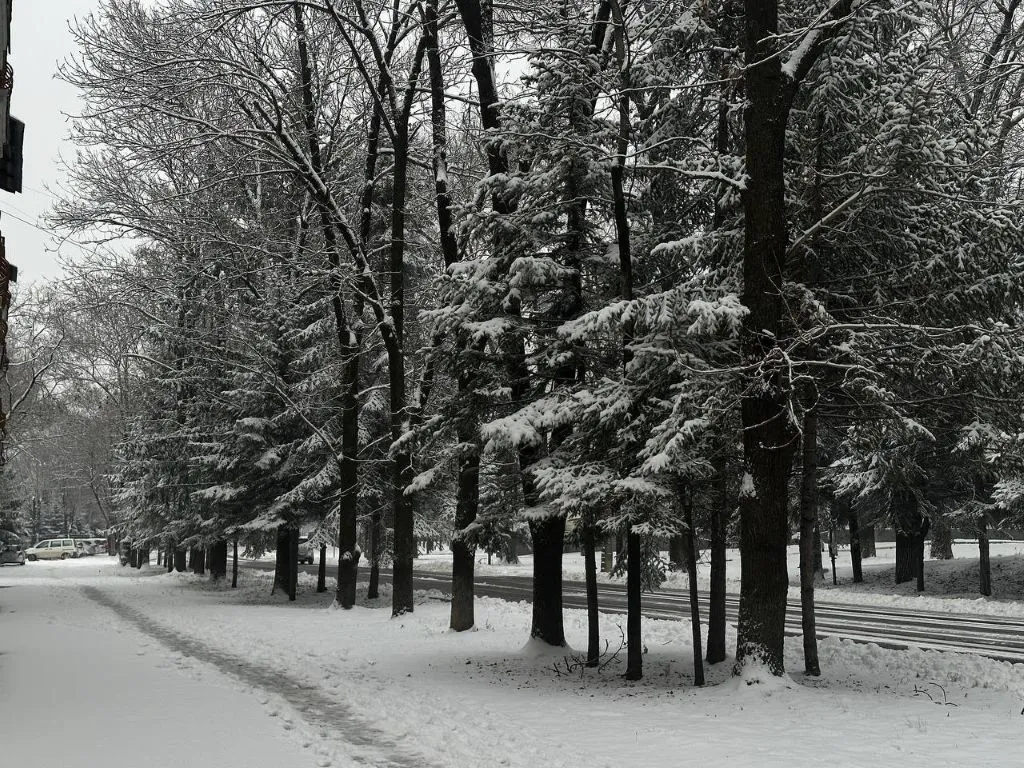 Похолодание ожидается 1 ноября в ЕАО