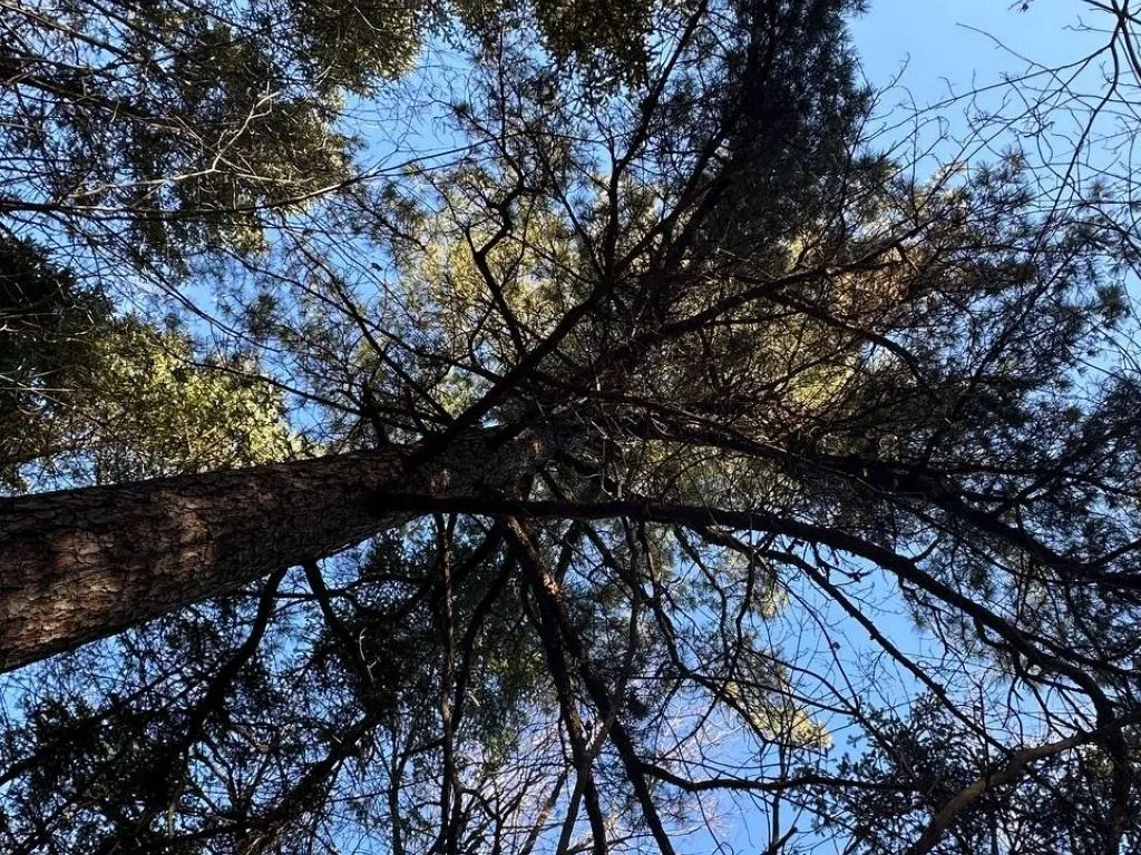 Психологи рассказали, кому не стоит оказывать помощь