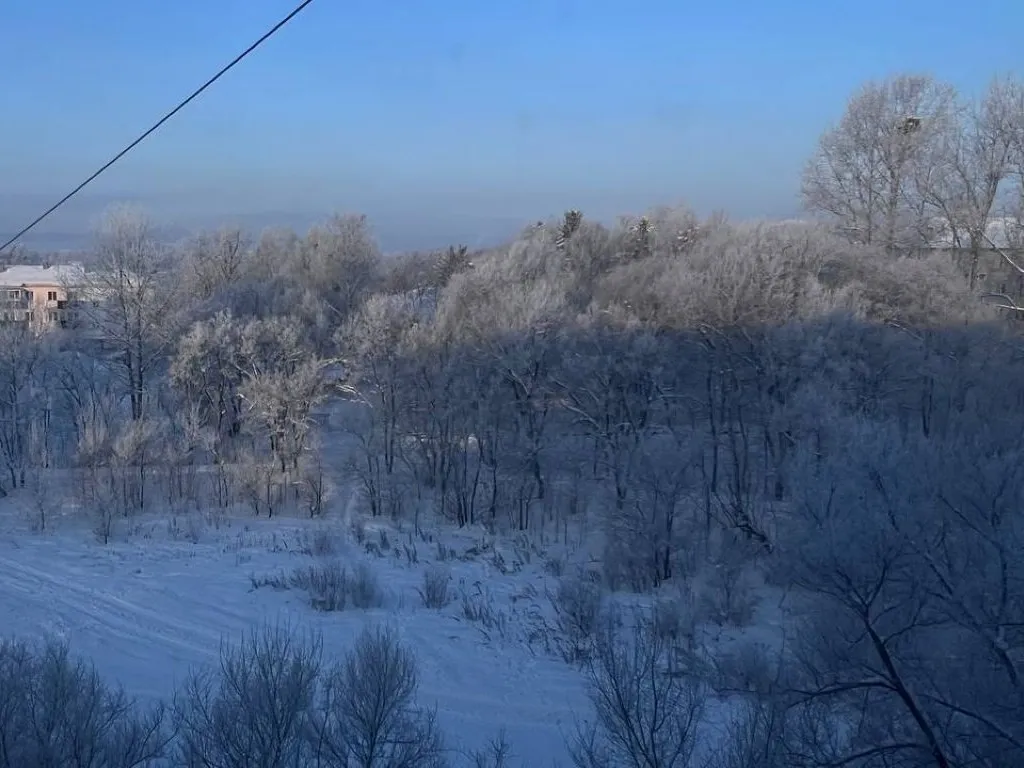 Специалисты рассказали, у кого зимой начнётся белая полоса