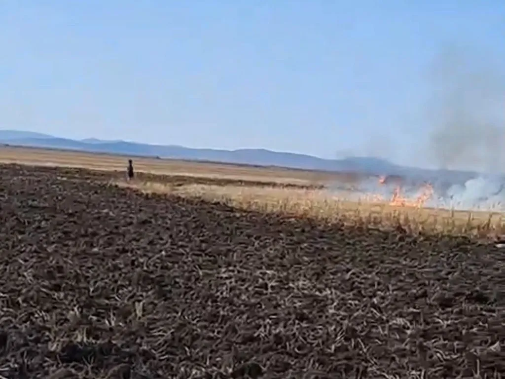 За незаконным палом травы поймали фермера из ЕАО